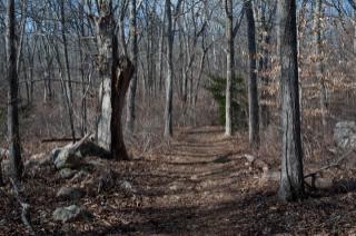 Christiantown nature walk West Tisbury